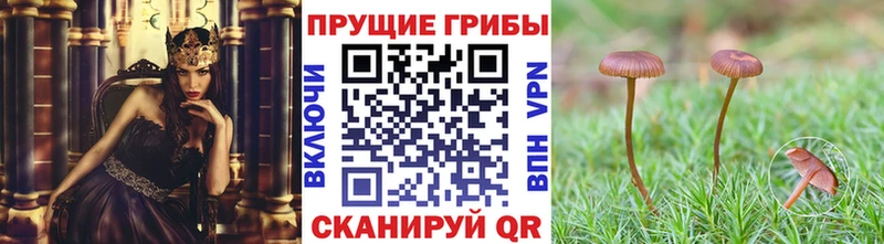 Псилоцибиновые грибы MAGIC MUSHROOMS  Сим 