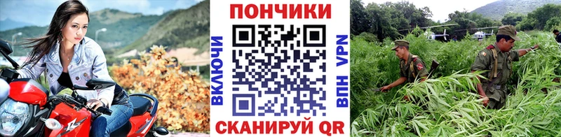 Конопля тримм  Сим 